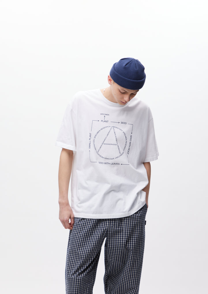 SRL . TEE SS-1