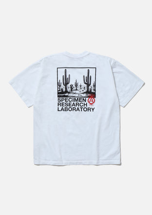 SRL | NEIGHBORHOOD